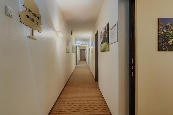 Hotel Eichengrund Cochstedt Hecklingen  Exteriér fotografie